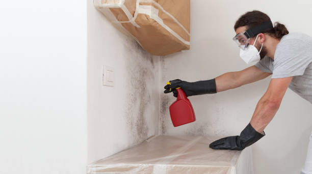 Professional Crawl Space Mold Remediation technician working in Minnetonka, MN